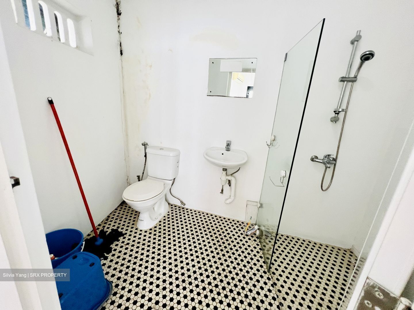 Tanjong Katong Road (D15), Terrace #524303561